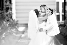 Образцы. Изображение 32962