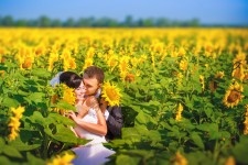 Мои работы. Изображение 2965 Мои работы. Изображение 2965