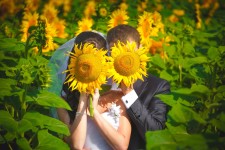 Мои работы. Изображение 2966 Мои работы. Изображение 2966