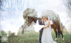 Мои работы. Изображение 2994 Мои работы. Изображение 2994