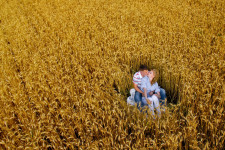 Мои работы. Изображение 3009