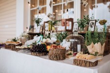 Свадьба  формат фуршет. Изображение 52997