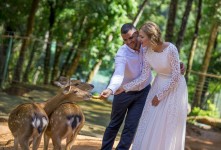 Honey Wedding. Изображение 33903