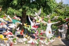 Honey Wedding. Изображение 33898