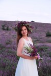 Крымский прованс. Изображение 33949 Крымский прованс. Изображение 33949