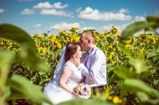 Свадебное. Изображение 34046