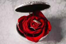 Рухлан + Анна. Изображение 34072