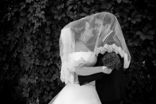 Свадьбы 1. Изображение 34488