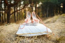 Свадьба Запорожье. Изображение 34577