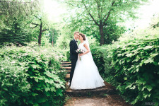 Wedding. Изображение 34821