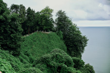 Свадебное. Изображение 34986 Свадебное. Изображение 34986