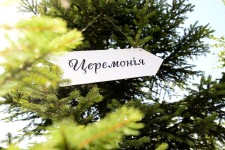 Портфолио. Изображение 36237