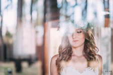 Свадьбы. Изображение 36345