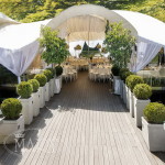 Свадьба в ресторане "Прага". Изображение 3335