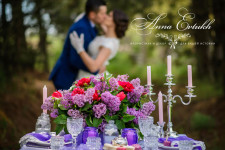 Оформление свадеб. Изображение 36698