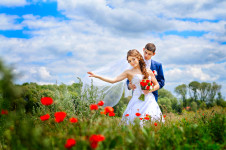 Свадьба. Изображение 36703