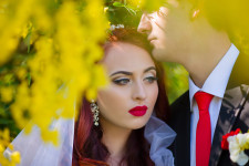 Свадьба. Изображение 36704