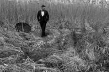 Фотосет. Изображение 37154