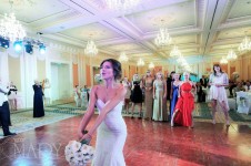 Аристократическая сдержанность . Изображение 3365