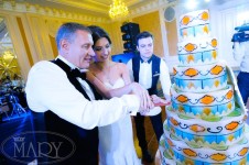 Аристократическая сдержанность . Изображение 3359