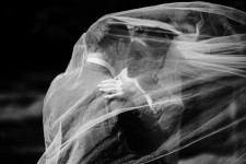 Порфоліо. Изображение 37231