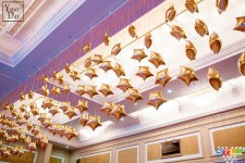 Your celebration . Изображение 37410