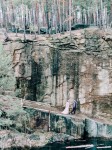 Лесная история на фоне бирюзового озера. Изображение 37682 Лесная история на фоне бирюзового озера. Изображение 37682
