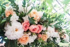 Флористика. Изображение 37733 Флористика. Изображение 37733