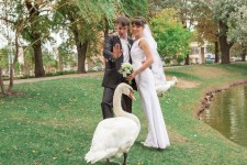 Свадебные фотографии. Изображение 37942