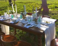 Оформление свадеб. Изображение 37992