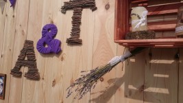 Наши фотозоны. Изображение 38357