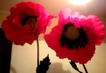 Наши фотозоны. Изображение 38361