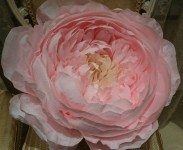 Наши фотозоны. Изображение 38360