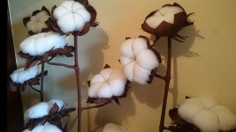 Наши фотозоны. Изображение 38367