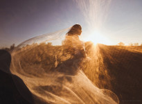 Свадебный фотограф Анна Шаульская. Изображение 38917