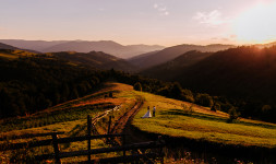 Свадебный фотограф Анна Шаульская. Изображение 38934