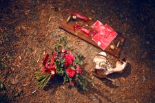 1. Изображение 38954