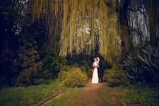 1. Изображение 38962