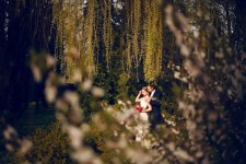 1. Изображение 38957