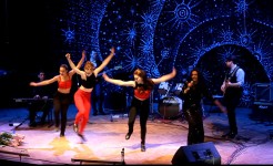 Американский степ. Изображение 39145