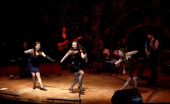 Американский степ. Изображение 39143