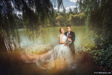 Wedding. Изображение 39356