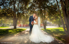 Wedding. Изображение 39364