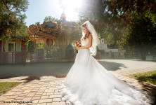 Wedding. Изображение 39362