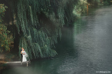 Wedding. Изображение 39368