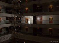 Wedding. Изображение 39346