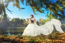 Wedding. Изображение 39367