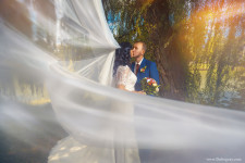 Wedding. Изображение 39361