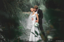 Wedding. Изображение 39369