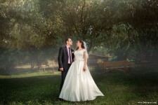 Wedding. Изображение 39358